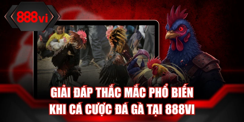 Giải đáp thắc mắc phổ biến khi cá cược đá gà tại 888ViGiải đáp thắc mắc phổ biến khi cá cược đá gà tại 888Vi