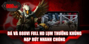 Ảnh đại diện đá gà 888Vi