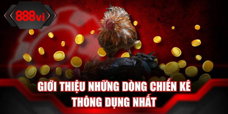 Tổng hợp những loại chiến kê phổ biến nhất trong chọi gà cựa dao