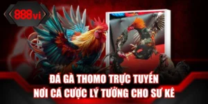 Ảnh đại diện đá gà thomo