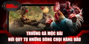 Ảnh đại diện trường gà Mộc Bài